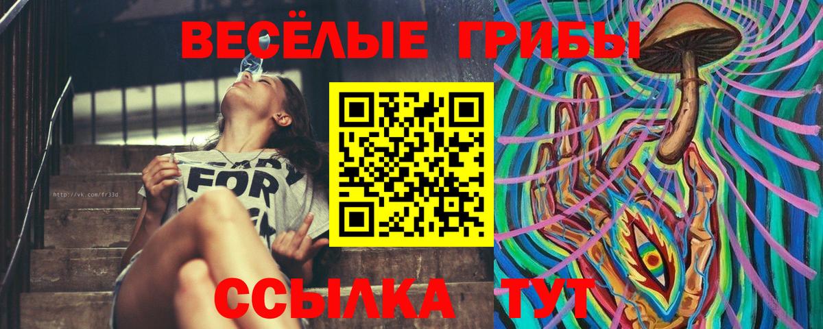 Армавир  Псилоцибиновые грибы прущие грибы  Вход с VPN  Галлюциногенные грибы Magic Shrooms 