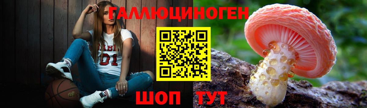 Псилоцибиновые грибы мицелий Армавир